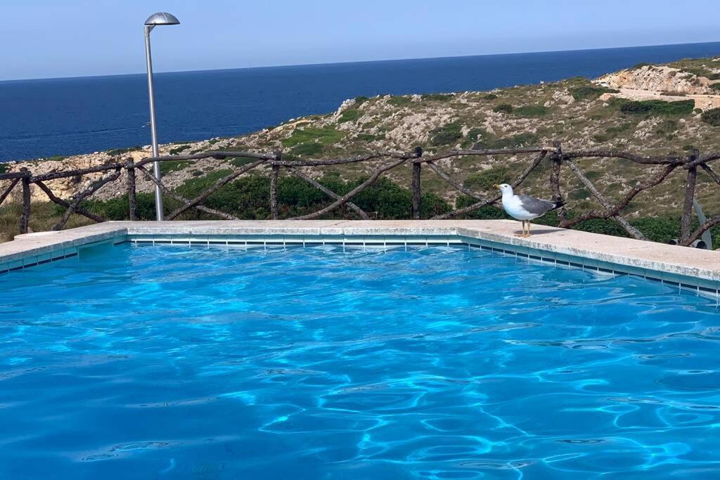 Apartamento A Estrenar Con Vistas Al Mar. Son Parc Dış mekan fotoğraf